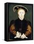 King Edward VI-null-Framed Stretched Canvas