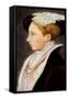 King Edward VI-null-Framed Stretched Canvas