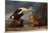 King Eider Ducks-John James Audubon-Mounted Giclee Print