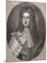 Wood Mount