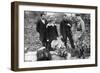 King George V Admiring Allotments on Clapham Common, London, C1910S-C1920S-null-Framed Giclee Print