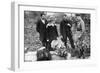 King George V Admiring Allotments on Clapham Common, London, C1910S-C1920S-null-Framed Giclee Print