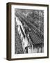 King George V's Funeral Procession Passing Along Piccadilly, London, 28 January 1936-null-Framed Giclee Print