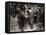 King George VI and Queen Elizabeth Visit the East End, London During WWII-null-Framed Stretched Canvas