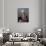 King Gustav III-Gustav Lundberg-Giclee Print displayed on a wall