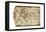 King Hamy' Navigational Chart, 1502-Amerigo Vespucci-Framed Stretched Canvas