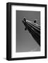 King II v2-Nathan Larson-Framed Photographic Print