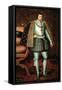 King James I of England-Paul van Somer-Framed Stretched Canvas