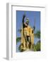 King Kamehameha Statue in Front of Aliiolani Hale (Hawaii State Supreme Court)-Michael DeFreitas-Framed Photographic Print