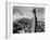 King Kong 1933-null-Framed Photographic Print