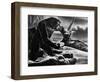 King Kong, 1933-null-Framed Photographic Print