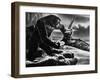 King Kong, 1933-null-Framed Photographic Print