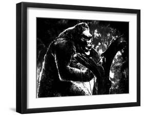 King Kong, King Kong, Fay Wray, 1933-null-Framed Photo