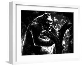 King Kong, King Kong, Fay Wray, 1933-null-Framed Photo