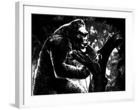 King Kong, King Kong, Fay Wray, 1933-null-Framed Photo