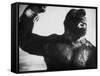 King Kong Represented as Clinging to Top of Empire State Building Tower in Horror Movie-Alfred Eisenstaedt-Framed Stretched Canvas