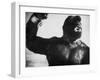 King Kong Represented as Clinging to Top of Empire State Building Tower in Horror Movie-Alfred Eisenstaedt-Framed Photographic Print