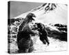 King Kong vs. Godzilla-null-Stretched Canvas