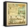 King Log and King's Stork-null-Framed Stretched Canvas