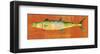 King Mackerel-John W^ Golden-Framed Art Print