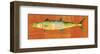 King Mackerel-John W^ Golden-Framed Art Print