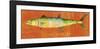 King Mackerel-John W^ Golden-Framed Art Print