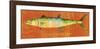 King Mackerel-John W^ Golden-Framed Art Print