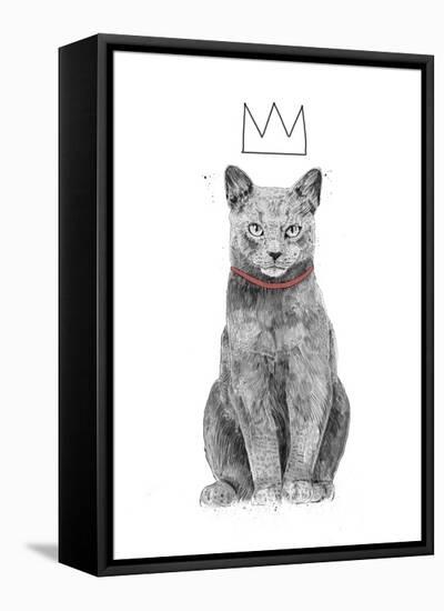 King of Everything-Balazs Solti-Framed Stretched Canvas