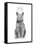 King of Everything-Balazs Solti-Framed Stretched Canvas