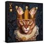 King of Hearts-Lucia Heffernan-Framed Stretched Canvas