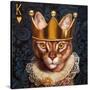 King of Hearts-Lucia Heffernan-Stretched Canvas