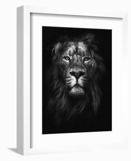 King of Kings-Design Fabrikken-Framed Photographic Print