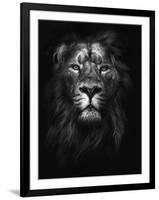 King of Kings-Design Fabrikken-Framed Photographic Print