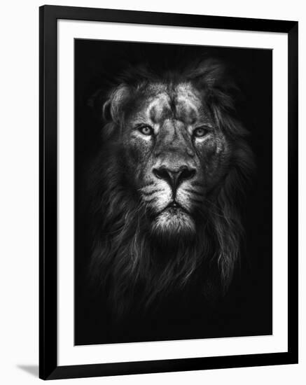 King of Kings-Design Fabrikken-Framed Photographic Print