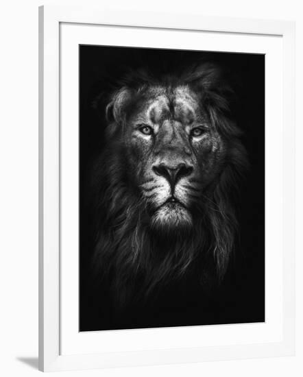 King of Kings-Design Fabrikken-Framed Photographic Print