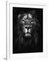 King of Kings-Design Fabrikken-Framed Photographic Print