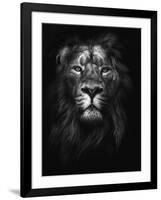 King of Kings-Design Fabrikken-Framed Photographic Print