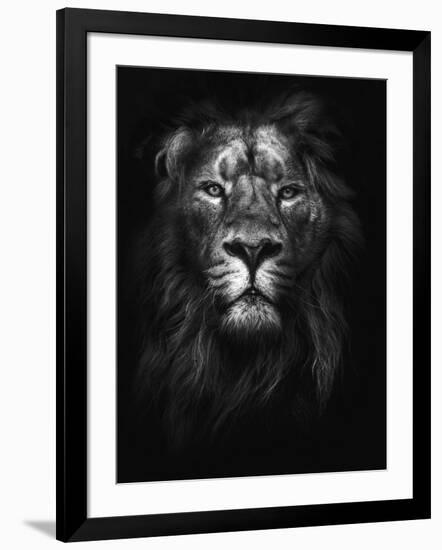 King of Kings-Design Fabrikken-Framed Photographic Print