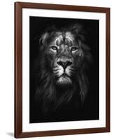 King of Kings-Design Fabrikken-Framed Photographic Print