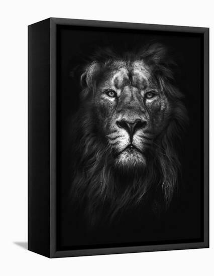 King of Kings-Design Fabrikken-Framed Stretched Canvas