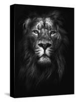 King of Kings-Design Fabrikken-Stretched Canvas