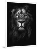 King of Kings-Design Fabrikken-Framed Photographic Print