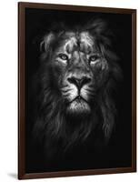 King of Kings-Design Fabrikken-Framed Photographic Print