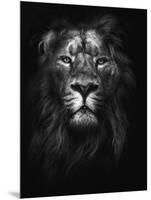 King of Kings-Design Fabrikken-Mounted Photographic Print