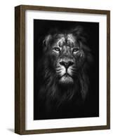 King of Kings-Design Fabrikken-Framed Photographic Print