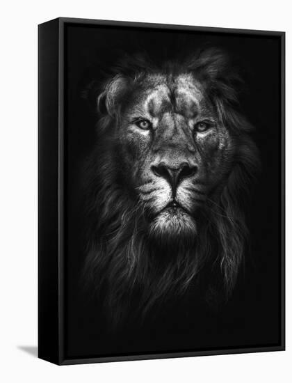 King of Kings-Design Fabrikken-Framed Stretched Canvas