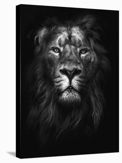 King of Kings-Design Fabrikken-Stretched Canvas