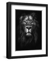 King of Kings-Design Fabrikken-Framed Premium Photographic Print