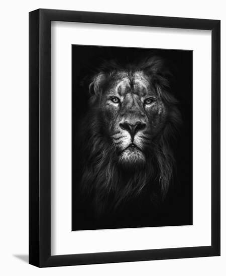 King of Kings-Design Fabrikken-Framed Premium Photographic Print