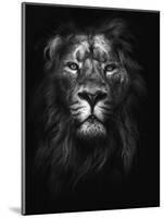 King of Kings-Design Fabrikken-Mounted Premium Photographic Print